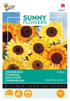 Buzzy sunny flowers, tournesol fantasy