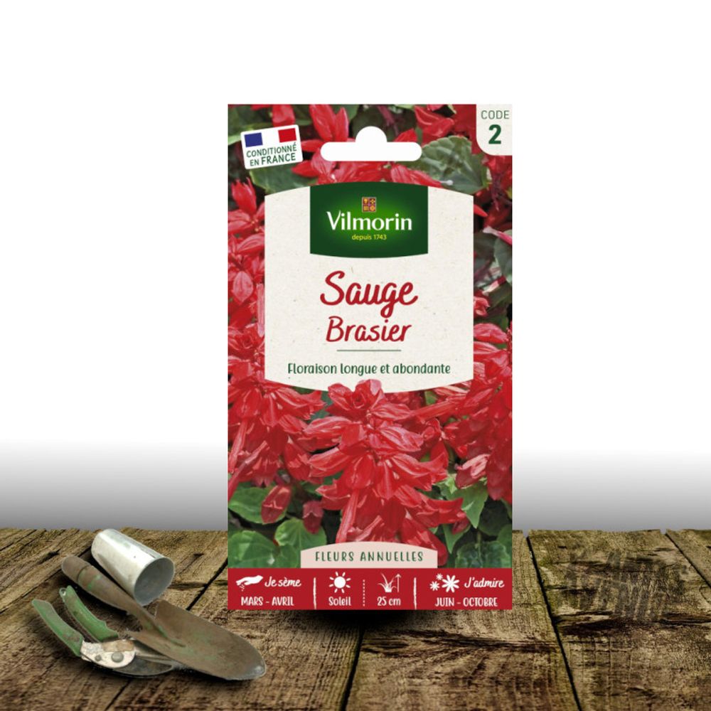 Graines de sauge rouge brasier - vilmorin sachet