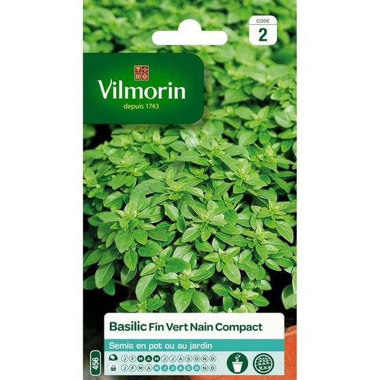 Sachet graines basilic fin vert nain compact