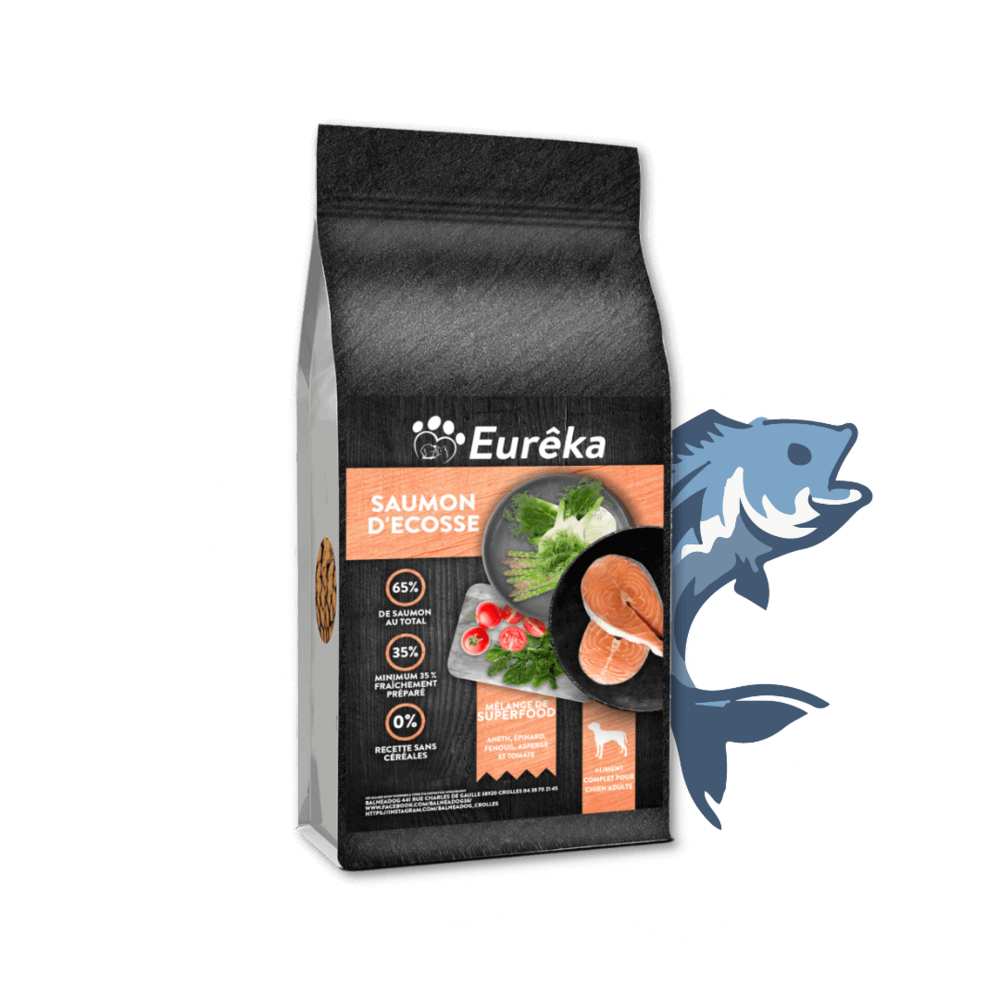 Croquettes chien adulte holistic sans céréales - saumon d'ecosse - 2 kg