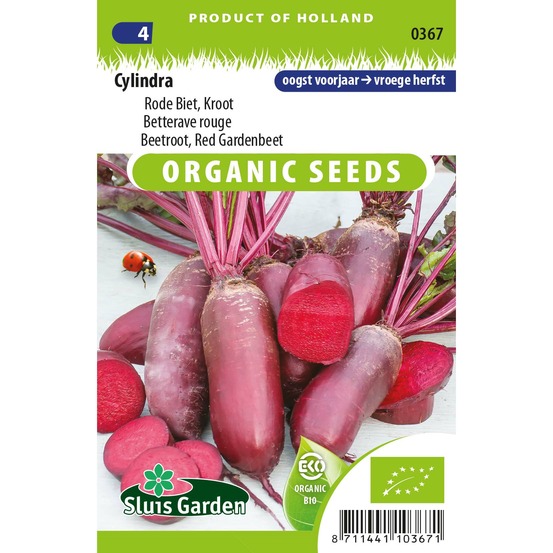 Betterave rouge 'cylindra' le sachet de 250 graines environ (3g)