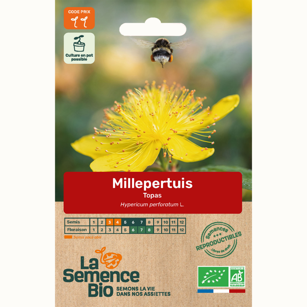 Millepertuis topas - graines bio