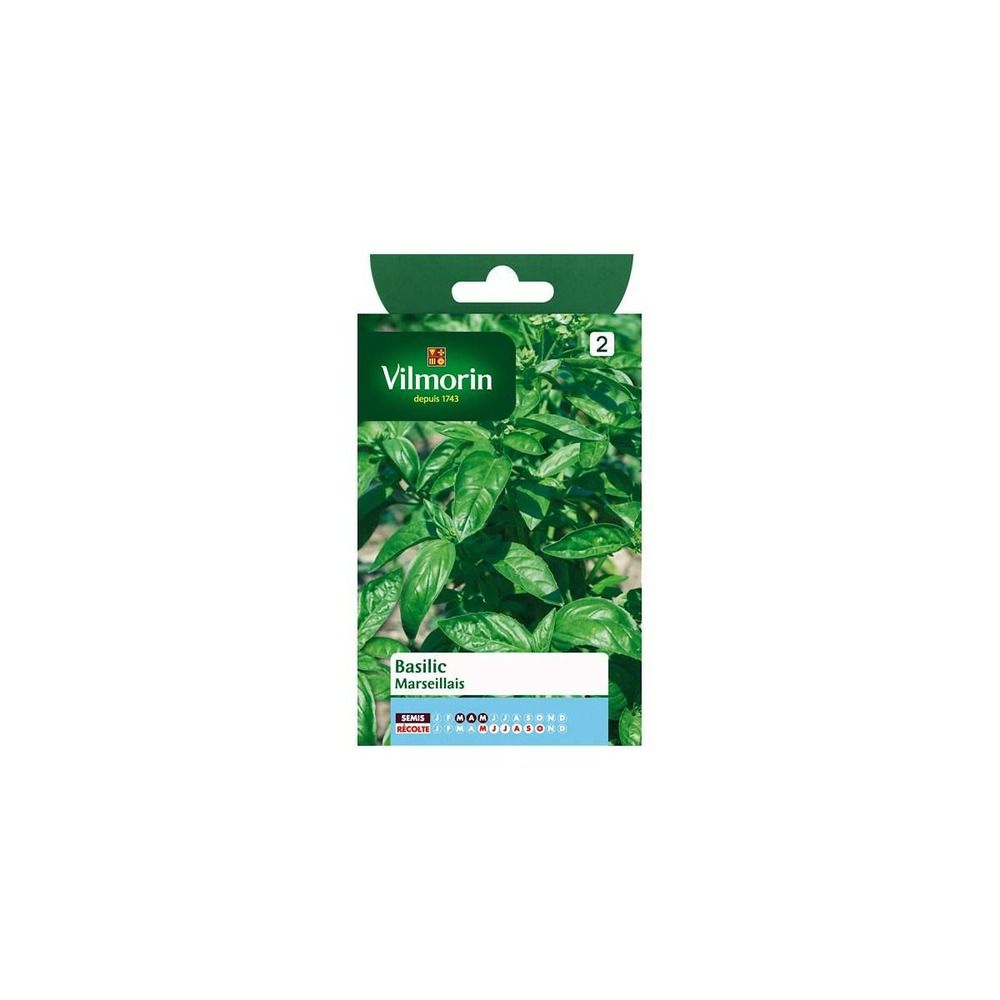 Sachet graines basilic marseillais