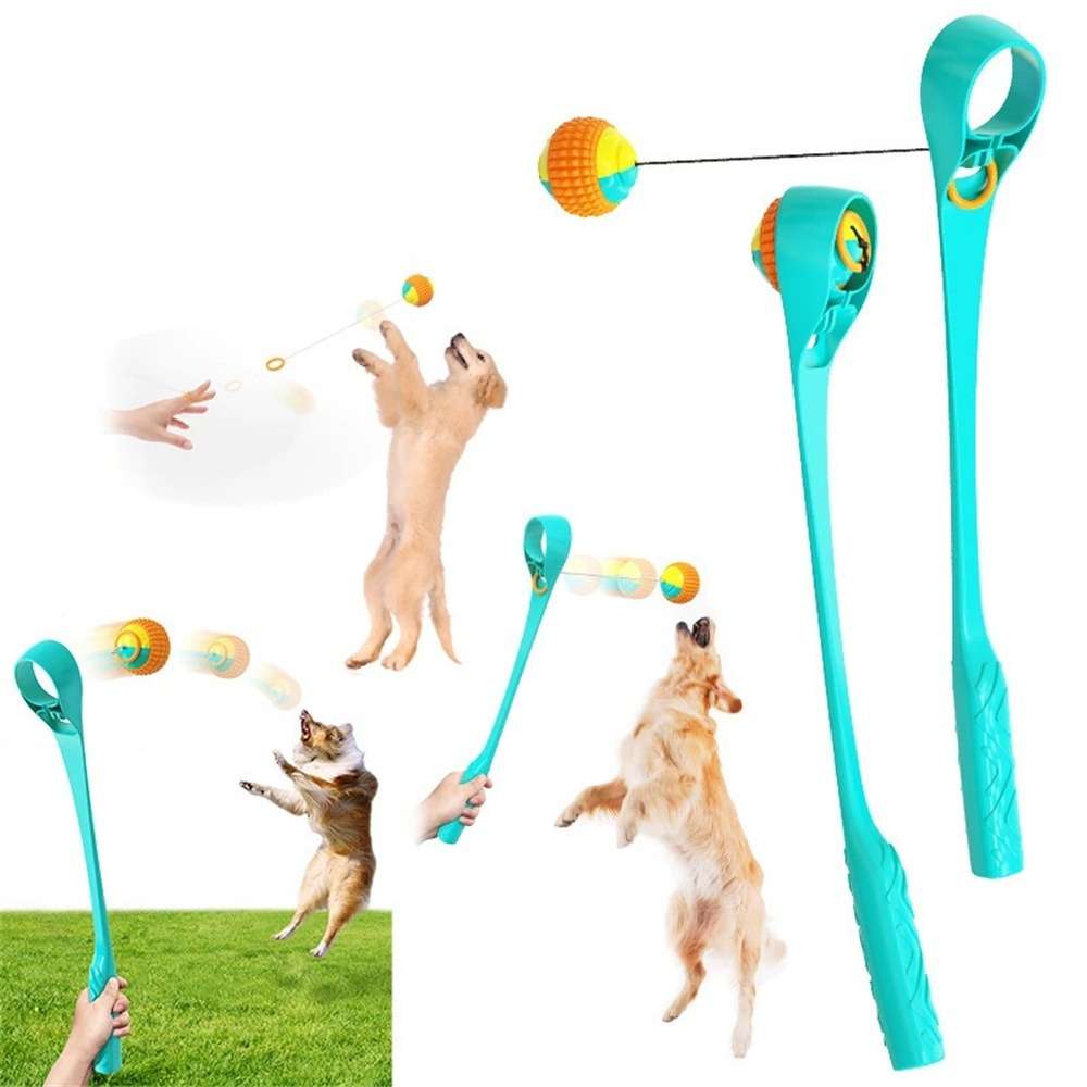 Dtopbuyage jouet interactif pour chien