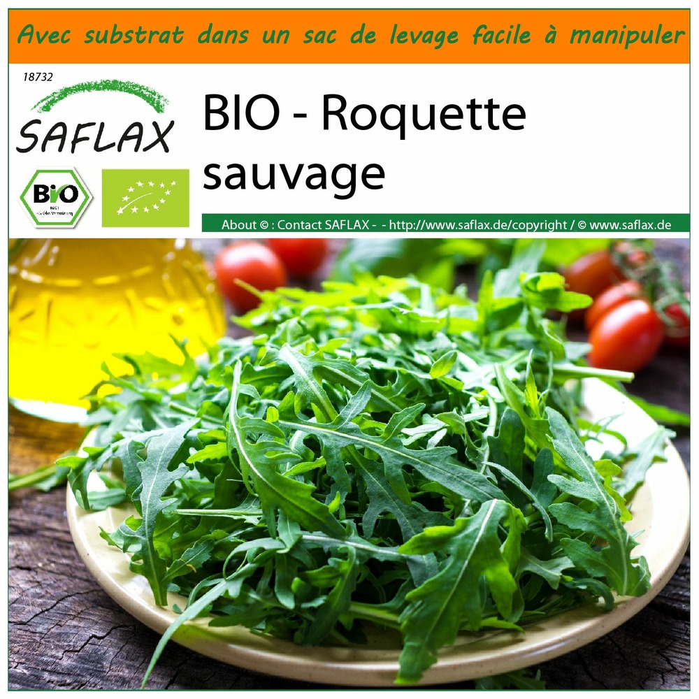 Garden in the bag - bio - roquette sauvage - 1500 graines - diplotaxis tenuifolia