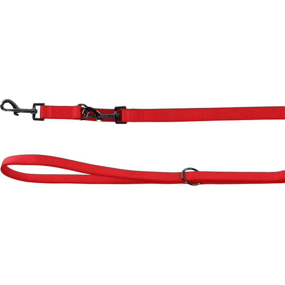 Laisse d'entrainement rouge 20 mm x 2 mètre pour chien