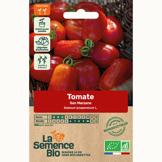 Tomate san marzano - graines bio