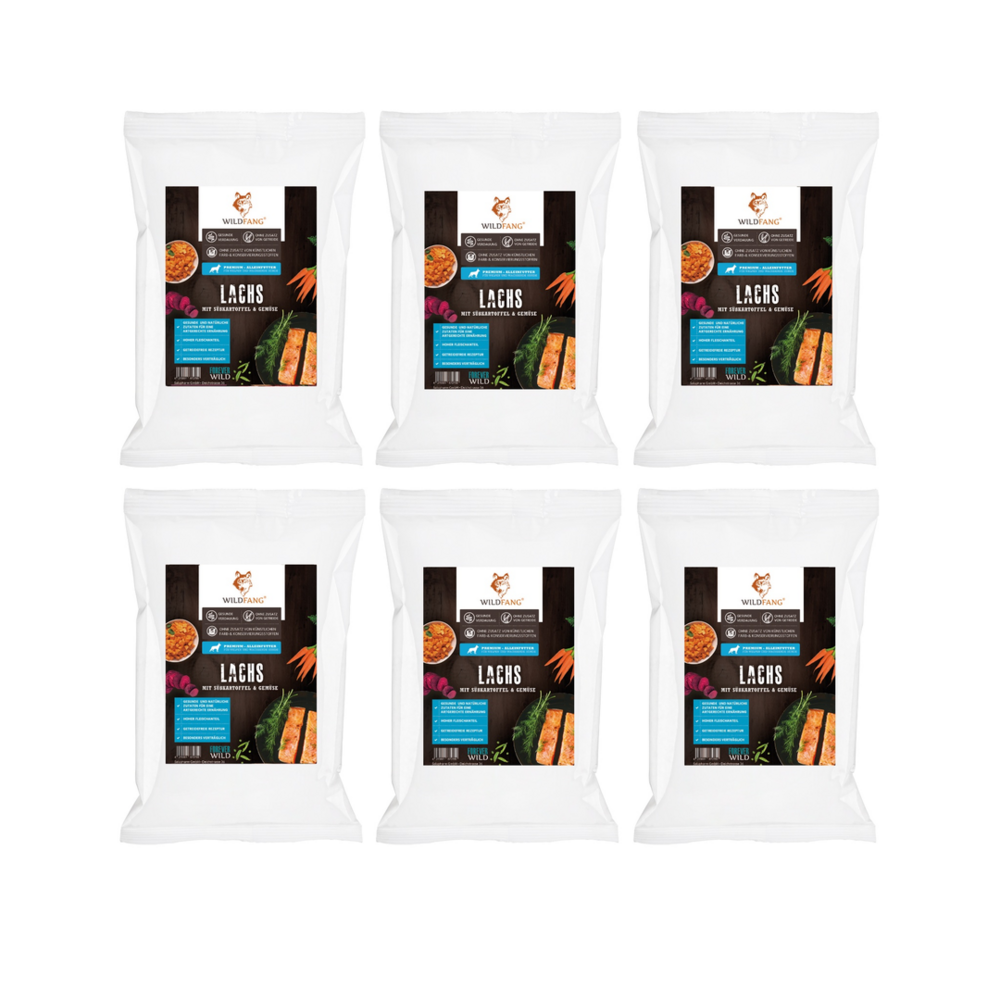 Wildfang croquettes sans céréales junior saumon & poulet - sac échantillon