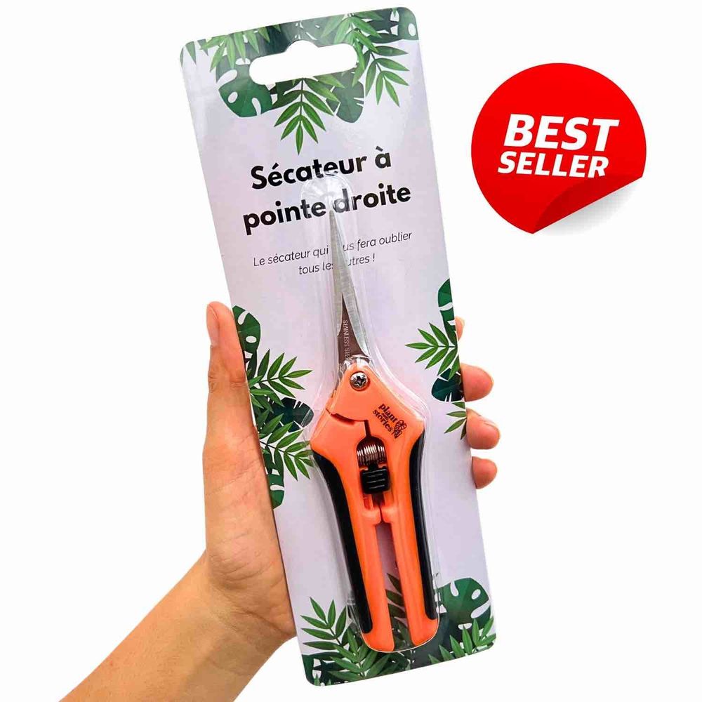Sécateur pointe droite - sécateur pour plante en acier inoxydable