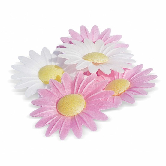 Décors azymes 36 marguerites