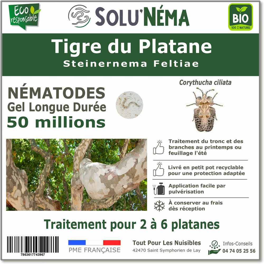 Solunéma - Nématodes contre le Tigre du Platane - Steinernema Feltiae (SF) -50 millions