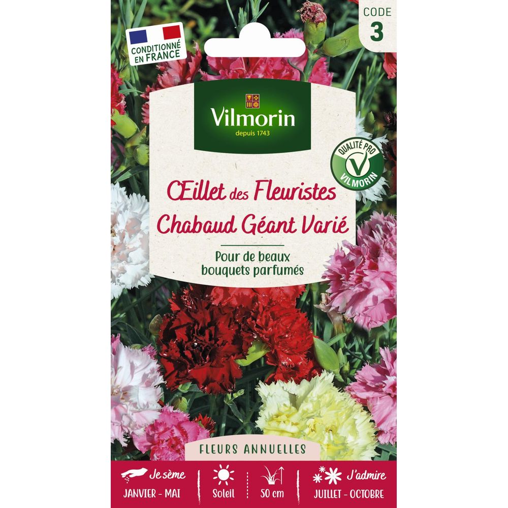 Œillet chabaud géant varié