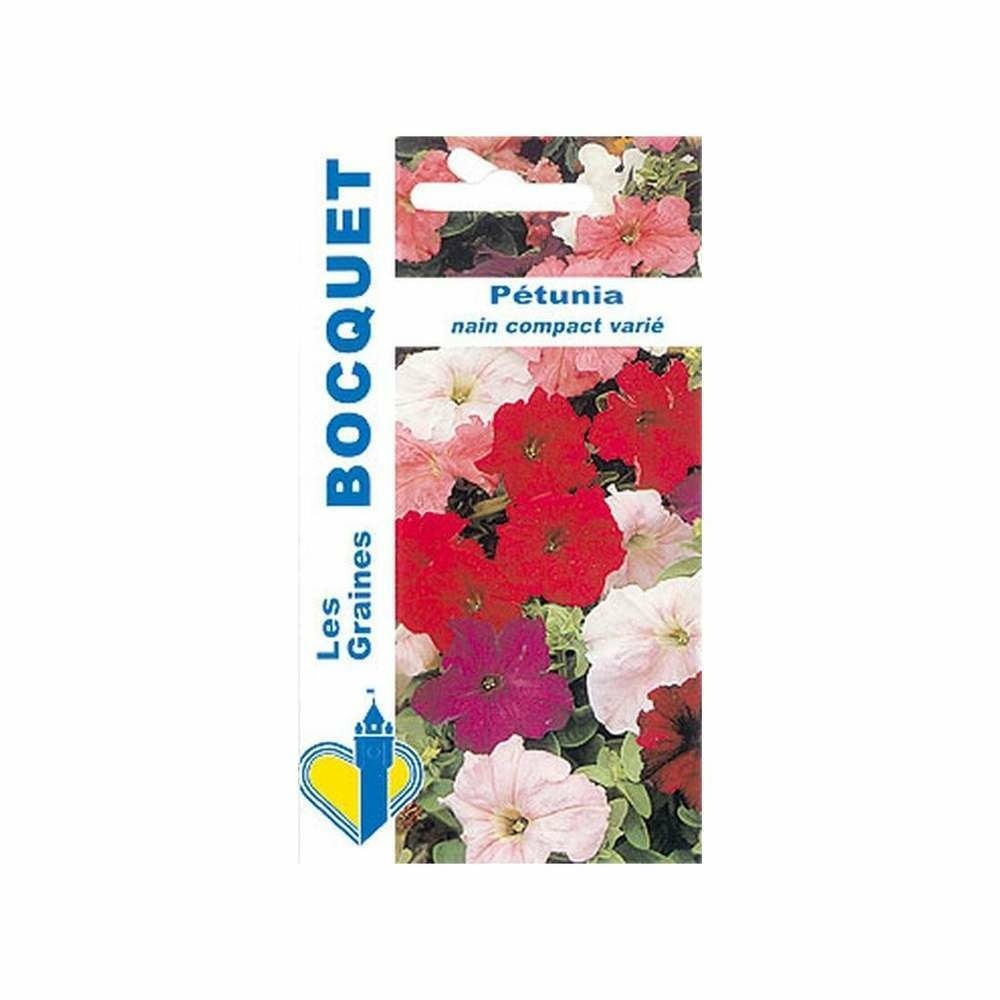 Pétunia nain compact varié