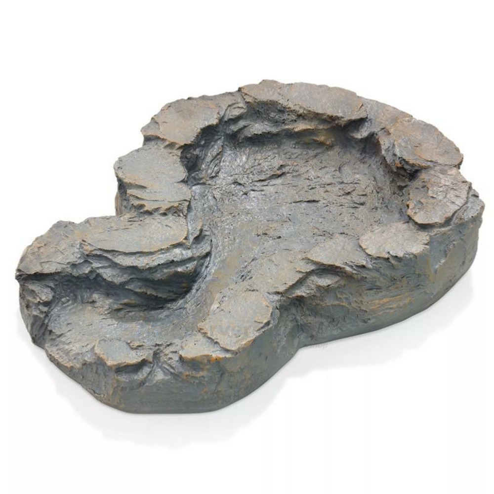 Coque ruisseau roche niveau inférieur