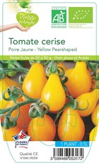 Tomate cerise poire jaune -plant ab en  pot 0.5 l-plante du jardin