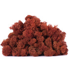 Lic/4081 lichen stabilisée sienna box 4 kg