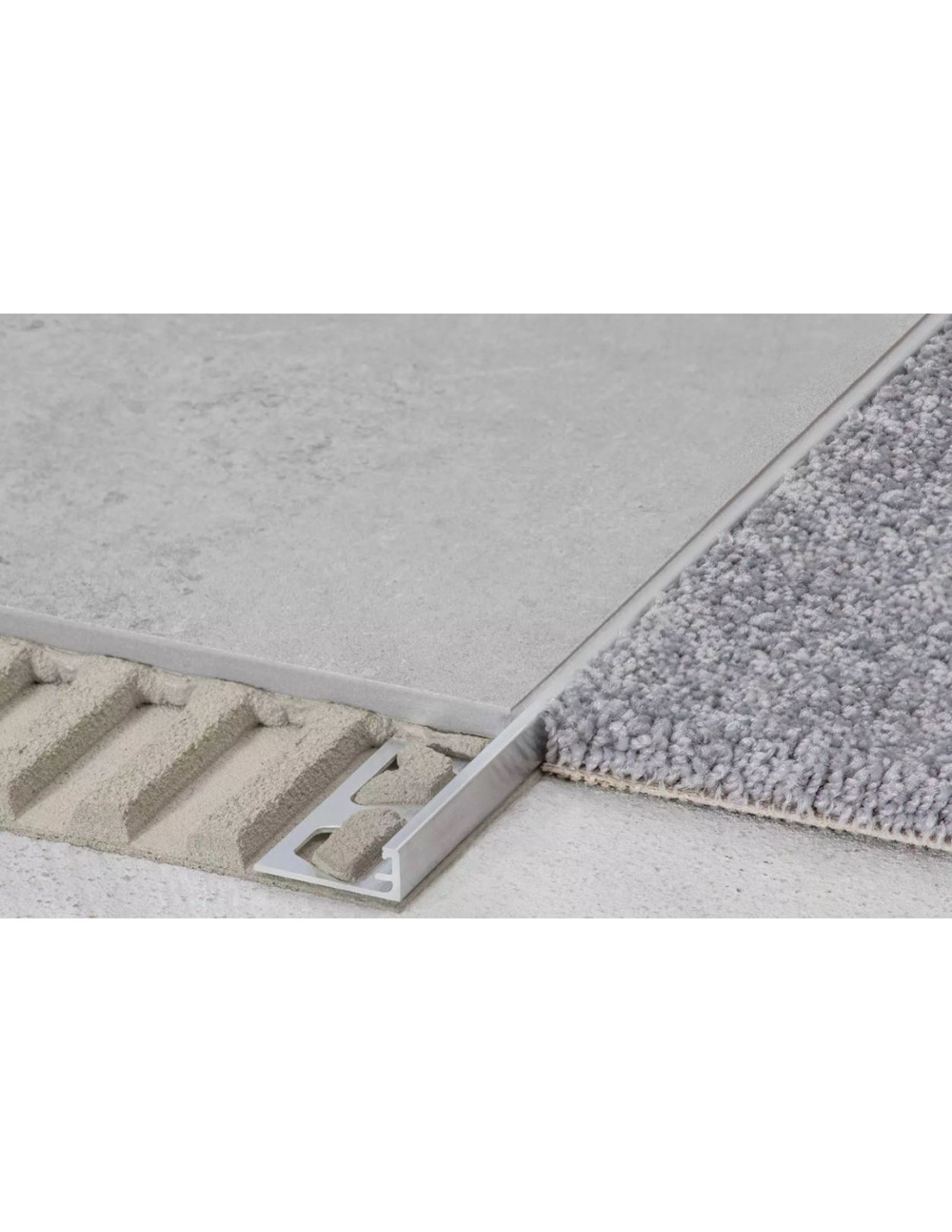 Schiene ae100 profile de 2,5m