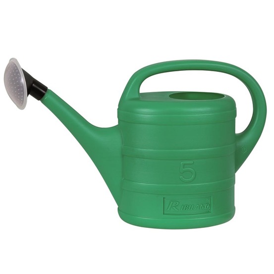 Arrosoir 5 L avec pomme d'arrosage
