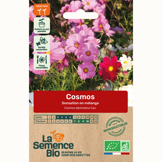 Cosmos sensation en mélange - graines bio