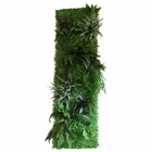 Mur végétal en kit N°1 200cm - 22 pièces