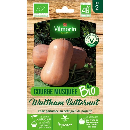 Sachet graines courge musquée waltham butternut bio - cucurbita pepo