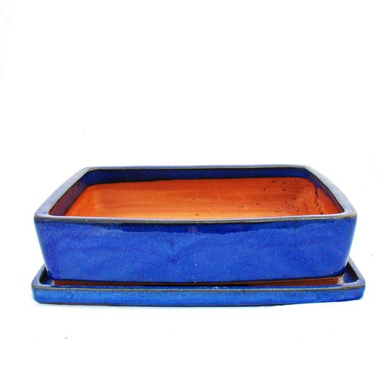 Bol à bonsaï avec soucoupe gr. 6 - bleu - rectangulaire - g30 - l 36cm - l 27cm - h 9cm