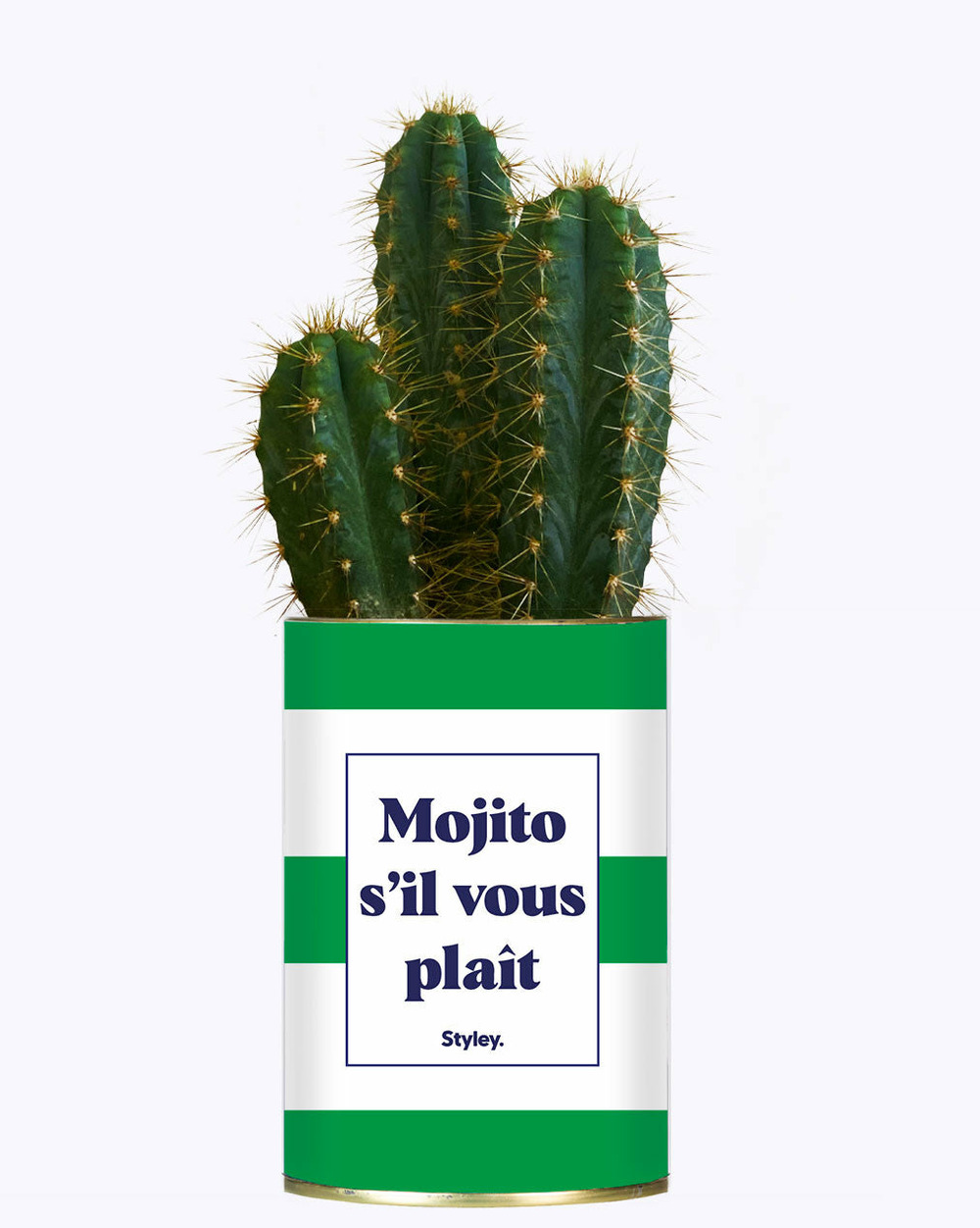 Idée cadeau - mojito s'il vous plait - cactus