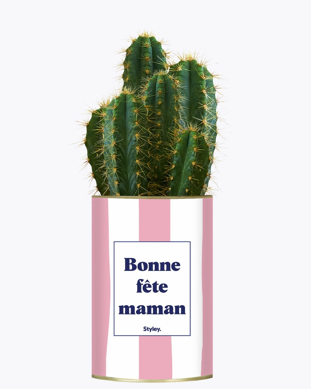 Plante personnalisée - bonne fête maman