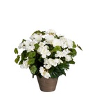 Mica decorations - bégonia artificielle blanc en pot h37