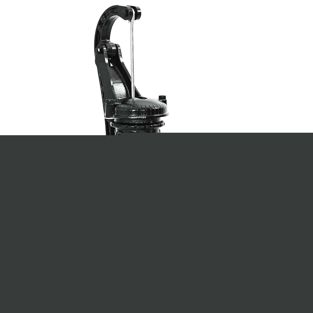 Pompe à eau manuelle de jardin fonte