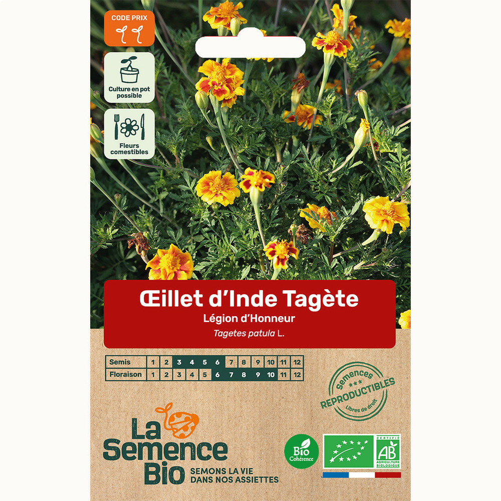 'illet d'inde tagète légion d'honneur - graines bio