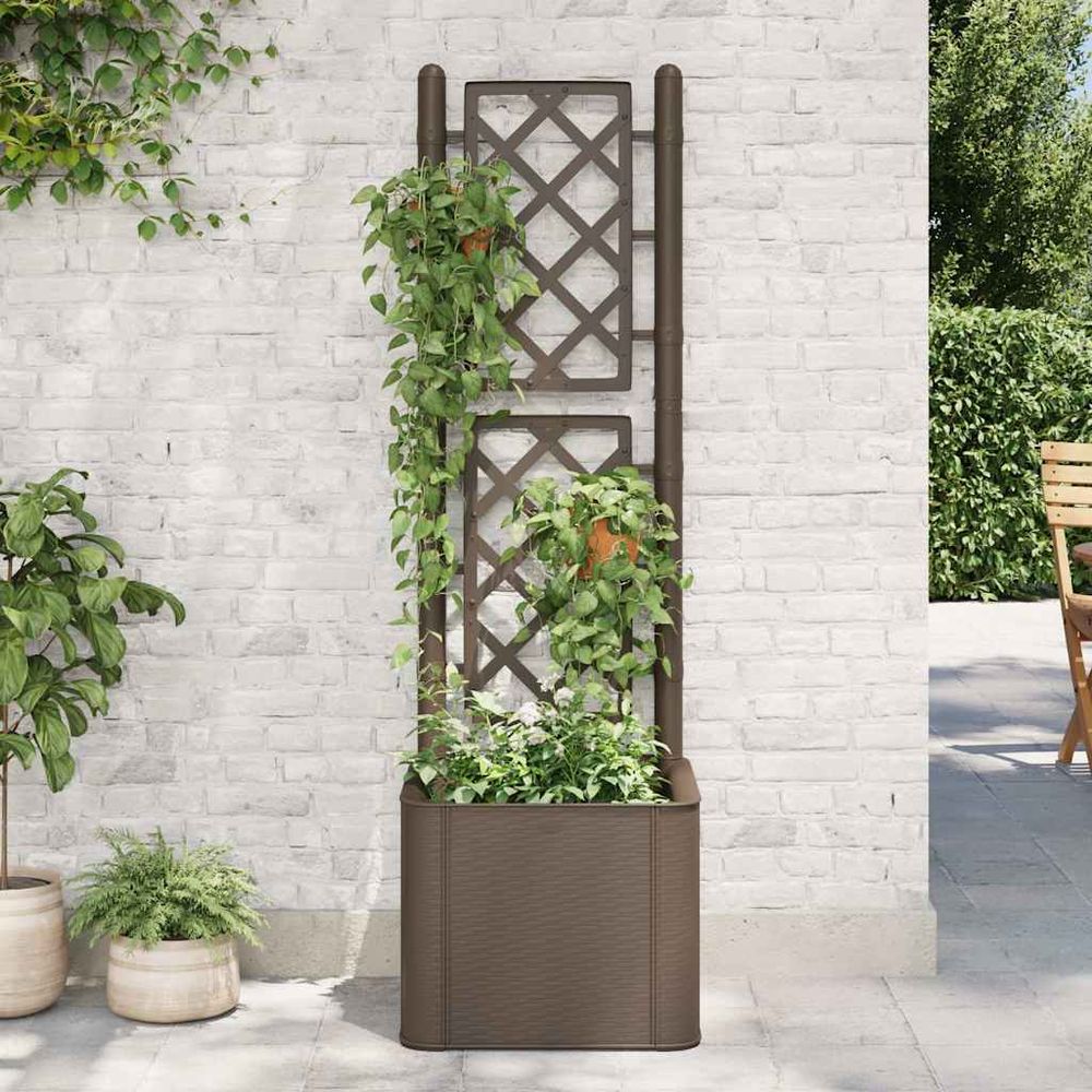 Jardinière avec treillis et arrosage auto pour plantes grimpantes moka