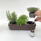 Kit bio potager urbain en liège prêt à planter - 3 feuilles