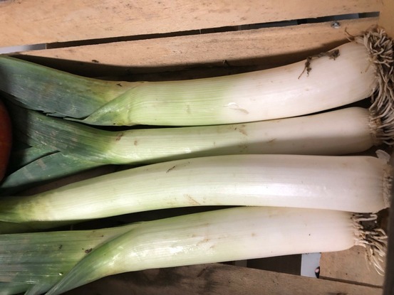 Sachet de graines de poireau monstrueux de carentan - sachet de 4 grammes - petite entreprise française