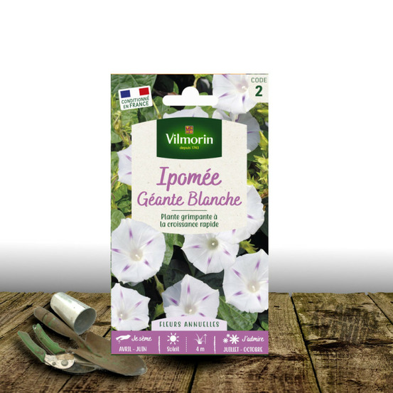 Graines d'ipomée blanche étoilée - vilmorin sachet