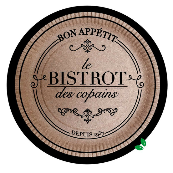 Lot de 10 assiettes en carton