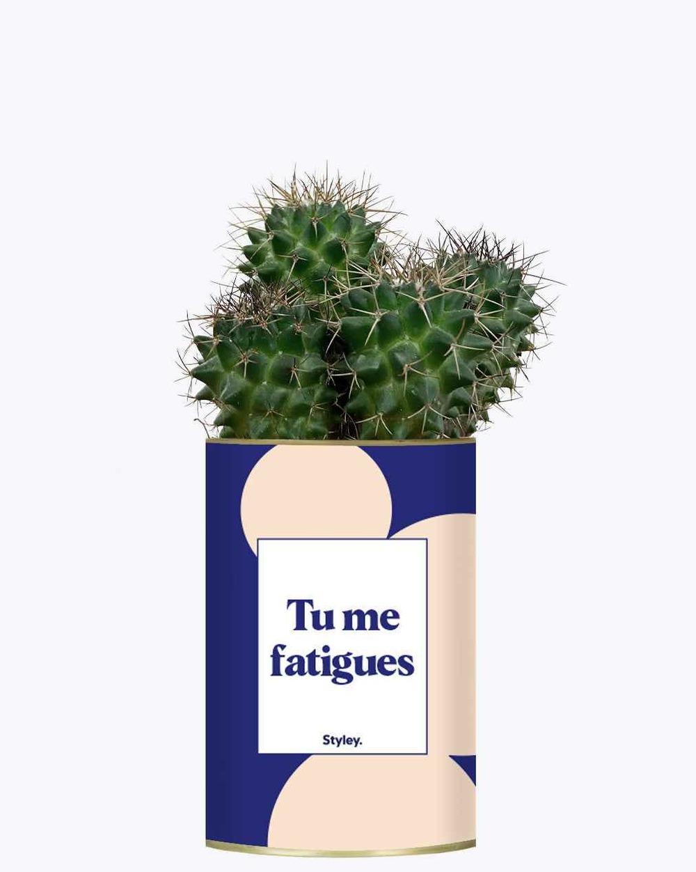 Plante personnalisée - tu me fatigues - cactus