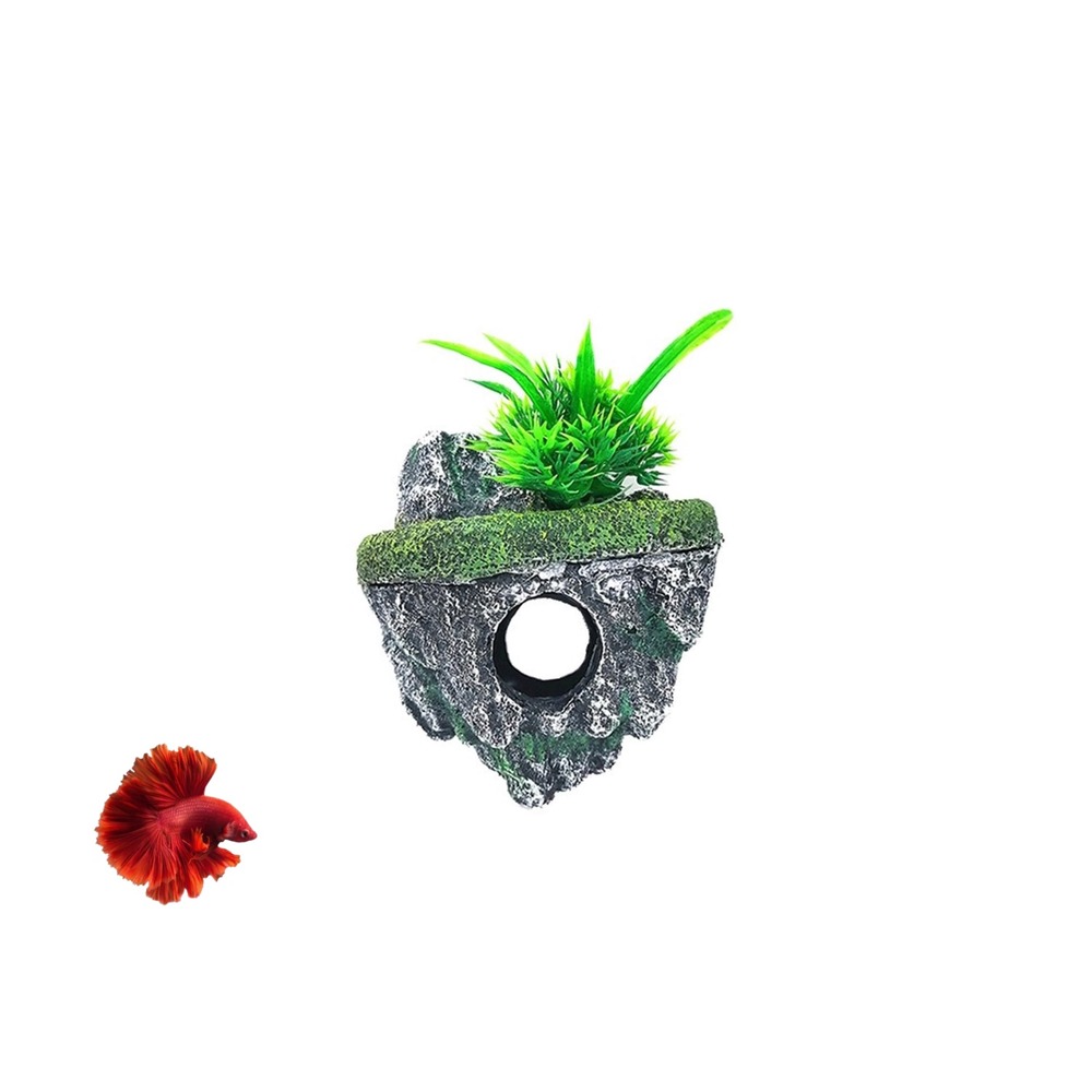 Décoration grotte aquarium s