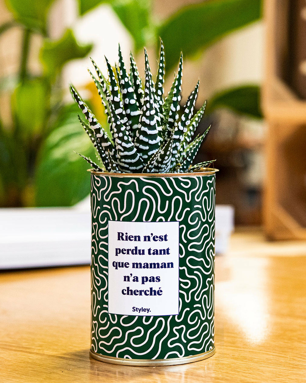 Plante personnalisée - rien n'est perdu tant que maman n'a pas cherché - cactus