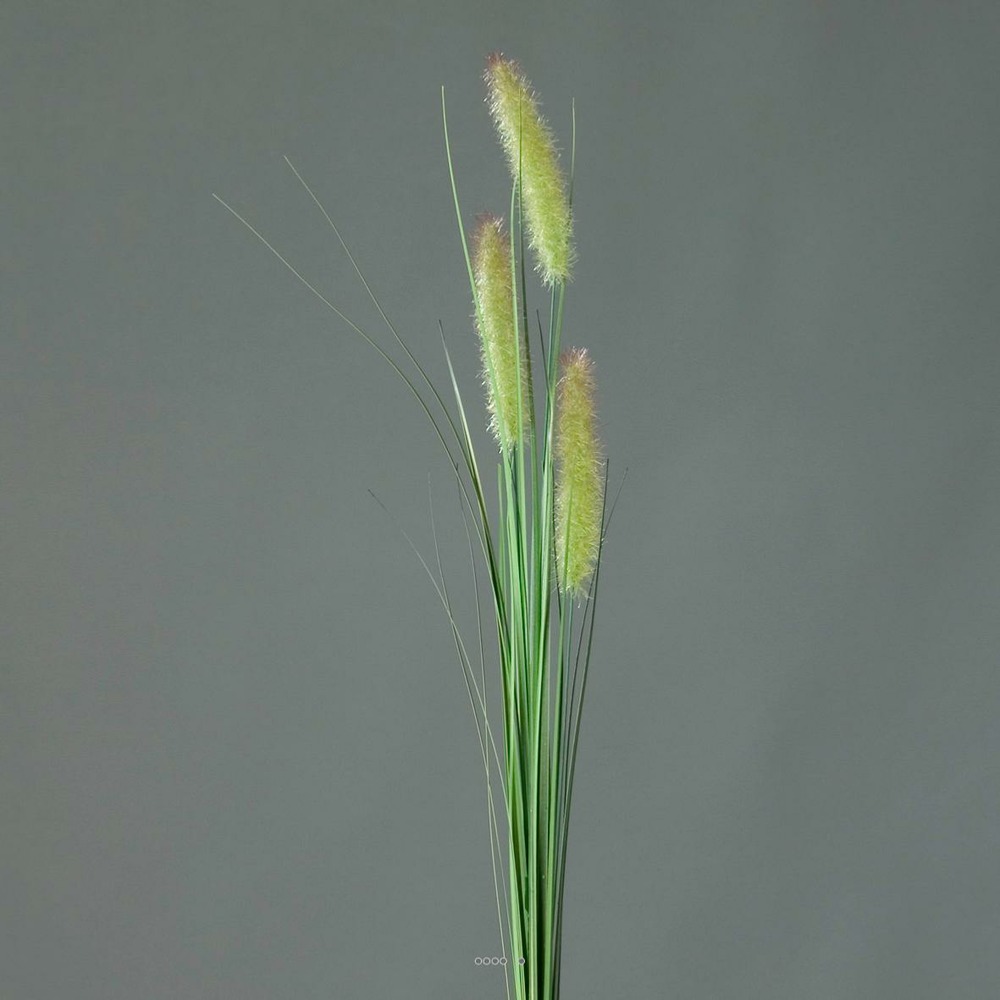 Chatons artificiels avec isolepsis h 85 cm