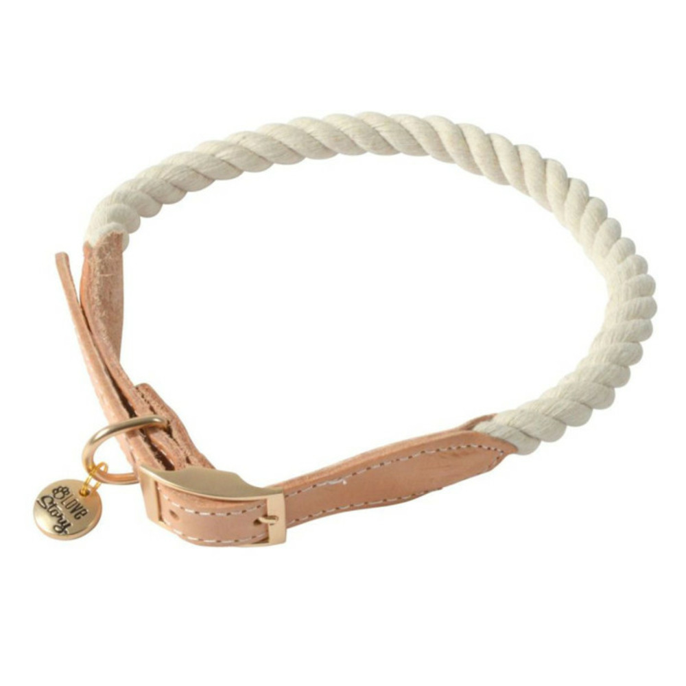 Collier pour chien réglable 