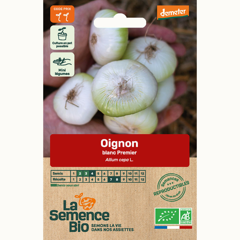 Oignon blanc premier - graines bio