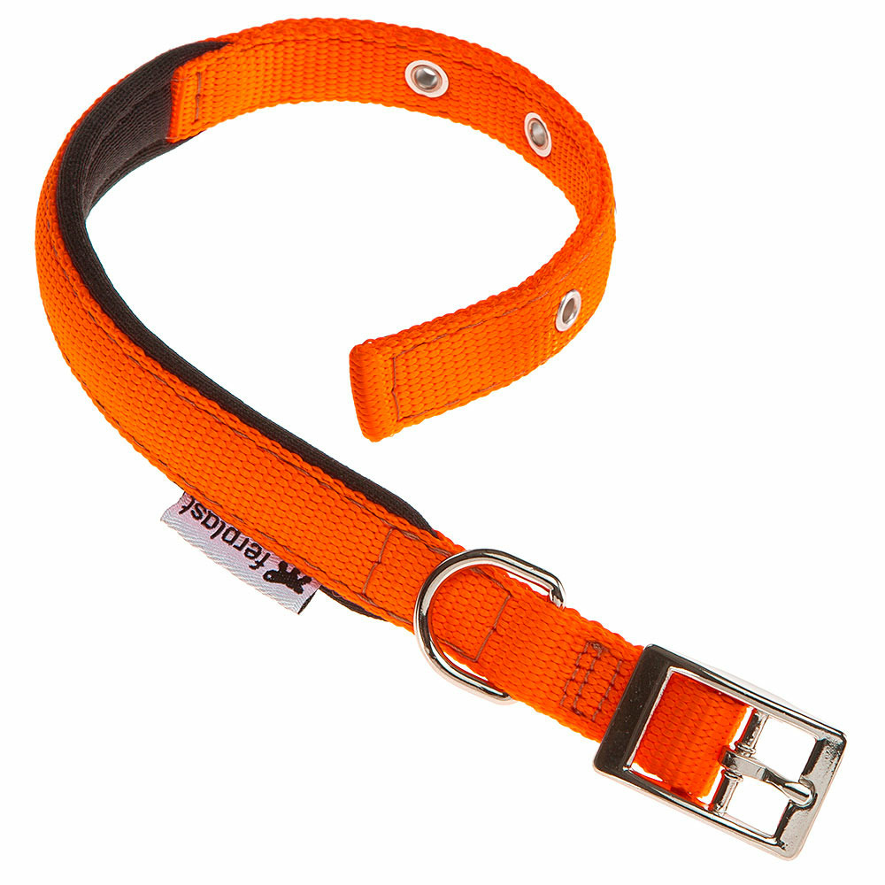 Collier chien chiens nylon souple rembourrage ferplast daytona différentes tailles et couleurs