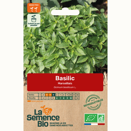 Basilic marseillais - graines bio