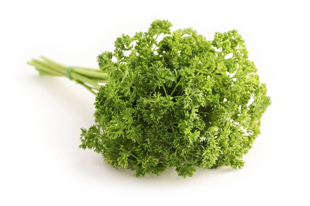 Sachet de graines de persil frisé vert foncé (double) - sachet de 30 grammes - petite entreprise française