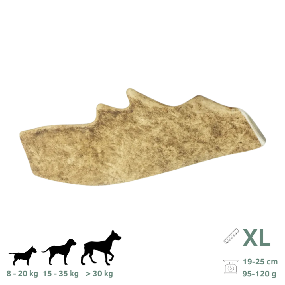 Bois de daim pour chien xl 19-25 cm