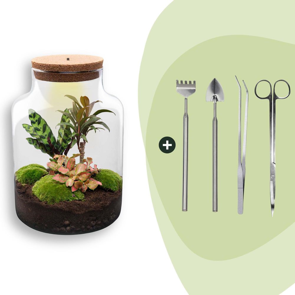 Diy terrarium - h30 cm - ø30 cm