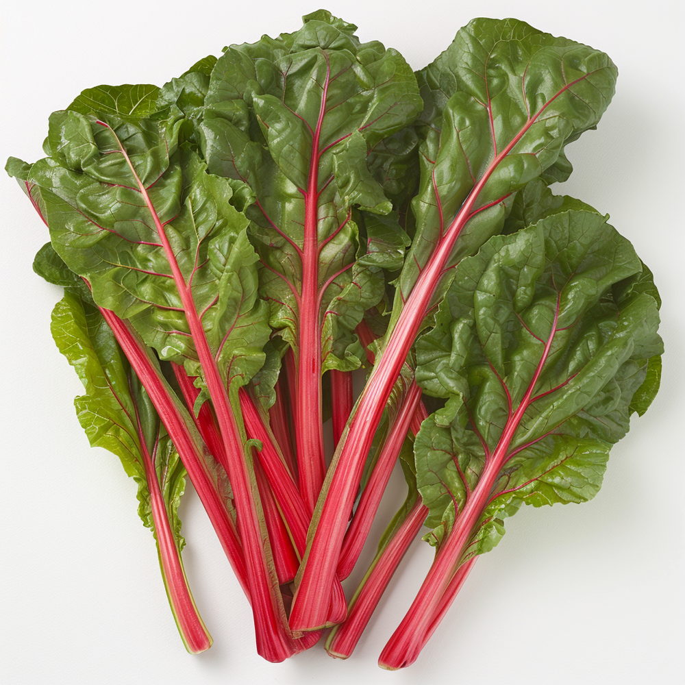 30 graines de bette à carde rhubarbe rouge - semisauvage permaculture