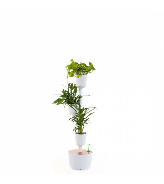 Lot de plantes purificatrices et jardinière verticale citysens blanche avec 3 pots et arrosage automatique