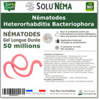 Solunema - nématodes heterorhabditis bacteriophora - 50 millions